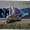 Продажа катеров Беркут LHT, организуем доставку по России - Изображение #6, Объявление #1231702