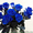 Синие розы от 200 руб./шт. #1365766