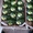 Продаем авокадо из Испании - Изображение #2, Объявление #1455738