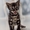 Экзотические красивые котята - Изображение #3, Объявление #1450126