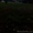 Шикарный участок ИЖС 25 соток вблизи Ладожского озера - Изображение #2, Объявление #1457529