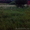 Шикарный участок ИЖС 25 соток вблизи Ладожского озера - Изображение #4, Объявление #1457529
