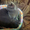 Ищет дом британская молодая кошка - Изображение #2, Объявление #1526435