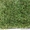 Искусственная трава оптом и в розницу по низким ценам - Изображение #3, Объявление #1551145