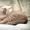 Рыжий котенок огонёк ищет дом - Изображение #2, Объявление #1576042