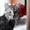 Обалденные котята в поисках дома - Изображение #2, Объявление #1577764