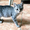Обалденные котята в поисках дома - Изображение #3, Объявление #1577764