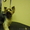 Стрижки собак и кошек в зоосалоне "Любимец" на дому - Изображение #5, Объявление #1610449