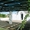 Продается усадьба с домами Трулли в Остуни, Апулия, Италия - Изображение #7, Объявление #1646456