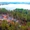 Действующий пансионат с лечебным блоком в Ленинградской области - Изображение #1, Объявление #1704027