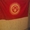 Флаг Кыргызстана,  шелковый с большой историей #1724465