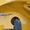 Ремонт пластиковых бамперов Форд в Красносельском районе СПБ - Изображение #1, Объявление #1735769