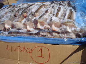 Продам рыба хек Отборный свежемороженный Оптом Аргентина - Изображение #1, Объявление #92407