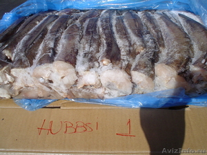 Продам рыба хек Отборный свежемороженный Оптом Аргентина - Изображение #2, Объявление #92407