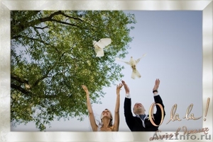 Лучшая свадьба 2011 в Петербурге — ваша свадьба от агентства O-la-la! - Изображение #1, Объявление #125925