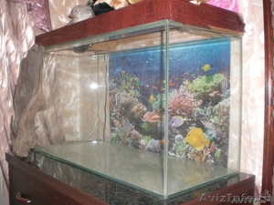 Продам видовой аквариум - Изображение #1, Объявление #140523