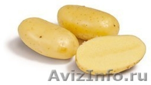 Картофель финский (из Финляндии, импортный) 27руб. за кг - Изображение #1, Объявление #186372