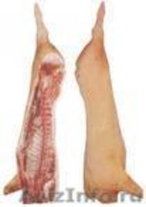 мясо свинины оптом - Изображение #1, Объявление #234025