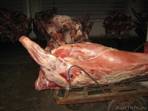 Предлагаем мясо полутуши заморозка свинина.говядина Белорусь. - Изображение #1, Объявление #259083