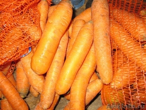 продам морковь мытую и томаты - Изображение #5, Объявление #286384