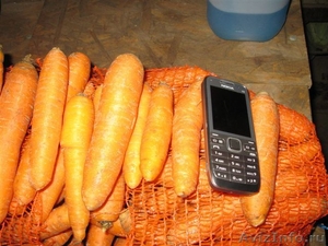 продам морковь мытую и томаты - Изображение #6, Объявление #286384