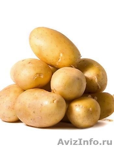 Продажа картофеля из Беларуси !!!! - Изображение #1, Объявление #401996