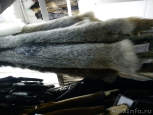 Кожаный магазин Альпари-кожа продает  шкуры волка и шкуры шакала - Изображение #3, Объявление #286423