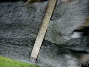 Кожаный магазин Альпари-кожа продает  шкуры волка и шкуры шакала - Изображение #2, Объявление #286423