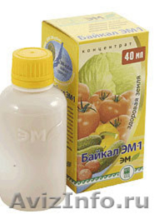 Байкал ЭМ-1 концентрат - микробиологическое удобрение - Изображение #1, Объявление #564091