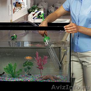 Профессиональная чистка аквариумов (под запись на выходные дни) - Изображение #1, Объявление #565111