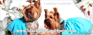 Обувь для собак Black Diamond - Изображение #1, Объявление #605964