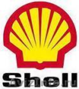 Гидравлические масла Shell Tellus oil rimula Санкт-Петербург - Изображение #1, Объявление #664131