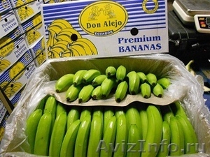 Прямые поставки банан с Эквадора - Изображение #2, Объявление #694709