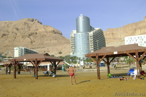 отдых в Израиле Красное и Мертвое море - Изображение #2, Объявление #708738