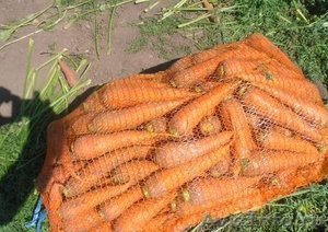 Морковь от производителя  - Изображение #1, Объявление #497710