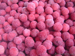 Восковница, ягоды замороженные - Изображение #1, Объявление #752525