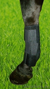 Фиксирующая повязка Horse3 на скакательный сустав - Изображение #1, Объявление #774501