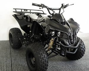 ATV 008 Warrior 125cc - Изображение #3, Объявление #790129