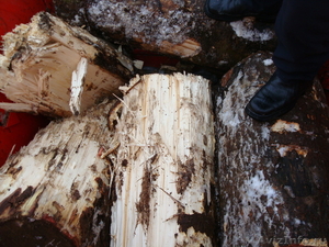 Комплекс для переработки древесины VB450E + NZS400E - Изображение #4, Объявление #830565