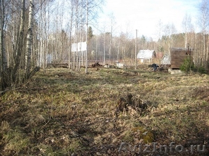 Продажа участка в Новожилово, 52 км. от СПБ. - Изображение #3, Объявление #907715