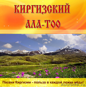 Продаем горный мёд в ассортименте из Киргизии - Изображение #1, Объявление #896738