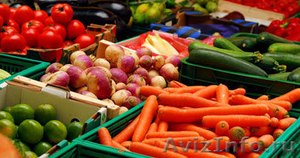 Сдается торговая площадь под овощи и фрукты - Изображение #1, Объявление #926264