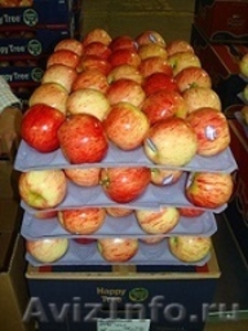 Прямые поставки  груши, яблок  из Аргентины,Чили - Изображение #3, Объявление #1033968
