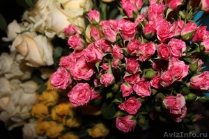 Кустовые розы. Розы 50 см. Свадебные букеты - Изображение #1, Объявление #1061652