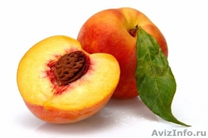 купим персик ,нектарин крупным оптом - Изображение #1, Объявление #1131028