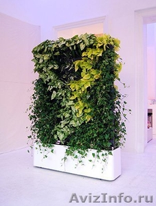Вертикальное Озеленение, Озеленение Интерьера от 50000 рублей м2 - Изображение #6, Объявление #1139879