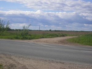 Земельный участок в Старорусском районе Новгородской области - Изображение #4, Объявление #1179328
