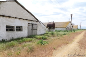 АРЕНДА / ПРОДАЖА  готовый бизнес - Свиноводческая  товарная ферма. - Изображение #1, Объявление #1269297