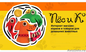 Сухие корма для котят акции интернет магазин Санкт-Петербург - Изображение #1, Объявление #1303816