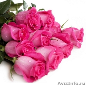 Розовые розы 50-60 см. - Изображение #1, Объявление #1366842